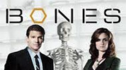 Bones