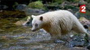 Grandeurs nature