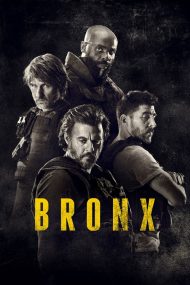 Affiche de Bronx